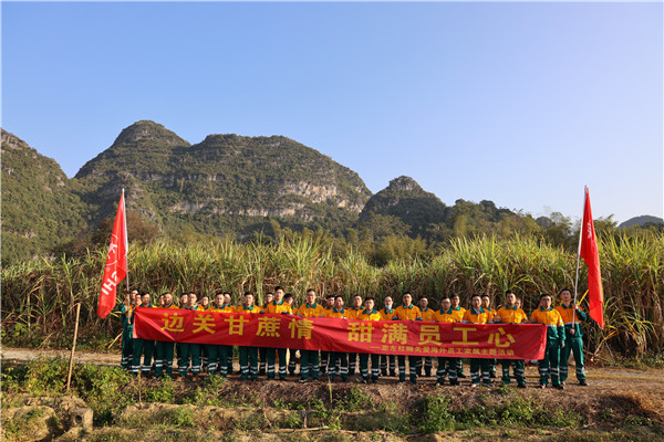 邊關(guān)甘蔗情，“甜”滿員工心—崇左紅獅助海外員工家屬收甘蔗